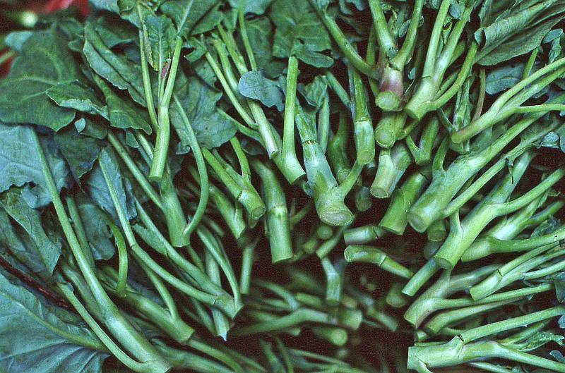 WT 0600 105b07 e002 Singapore Market Scene.jpg